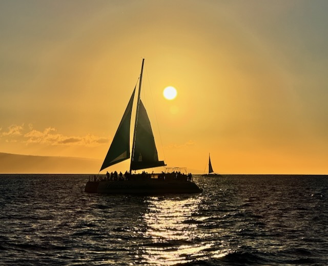 Maui Real Estate, Maui Homes For Sale, Contact Us, Entertainment